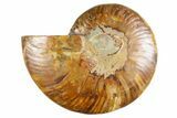 Cut & Polished Ammonite Fossil (Half) - Deep Crystal Pockets #345996-1